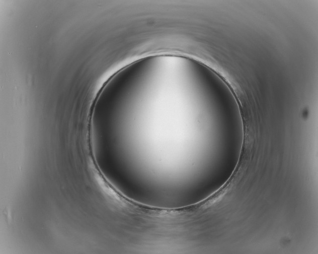 X0000093721534200710231121
