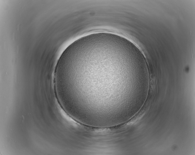 X0000093721535200710231121