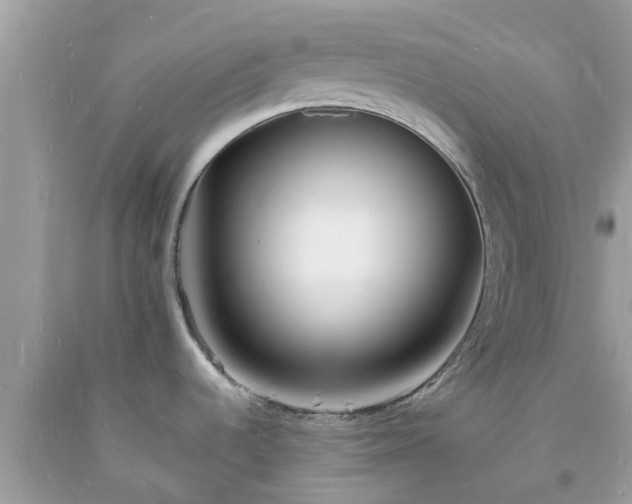 X0000093721536200710231121