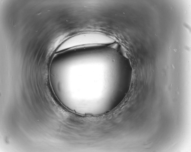 X0000093720005200710301034