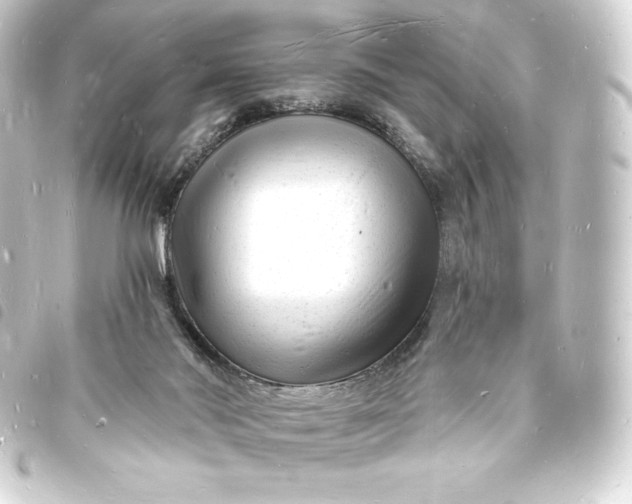 X0000093720022200710301033