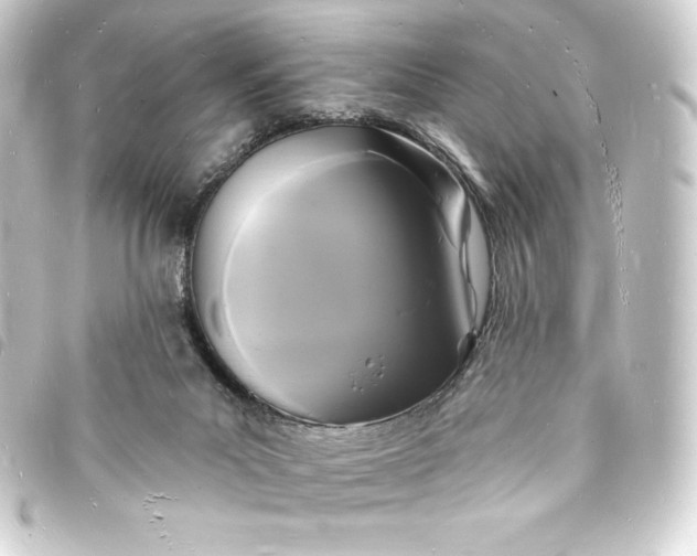 X0000093720023200710301033