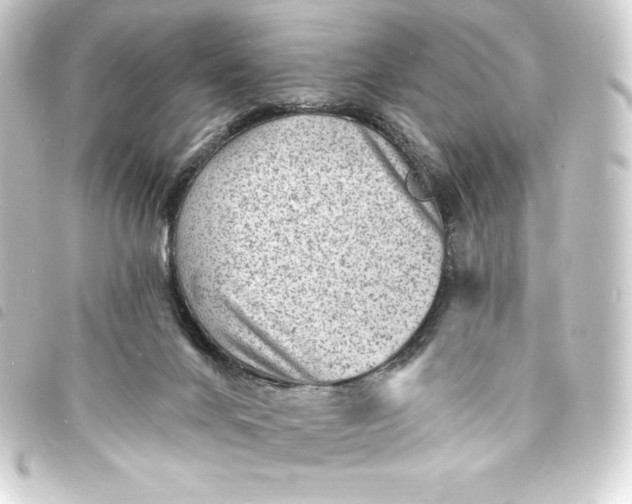 X0000093720024200710301033
