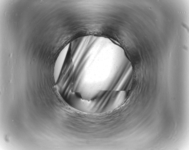 X0000093720041200710301033