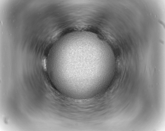 X0000093720042200710301033