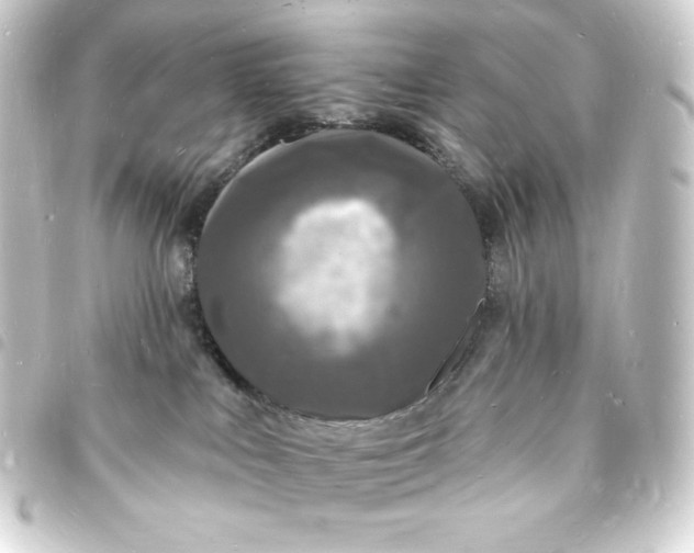 X0000093720043200710301033