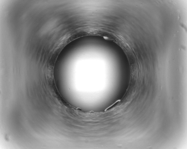 X0000093720044200710301033