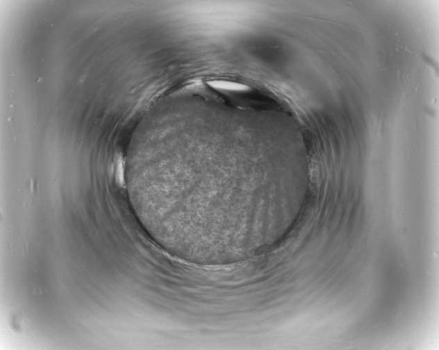 X0000093720046200710301033