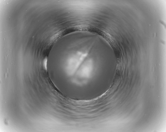 X0000093720047200710301033