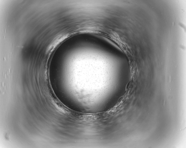 X0000093720050200710301032