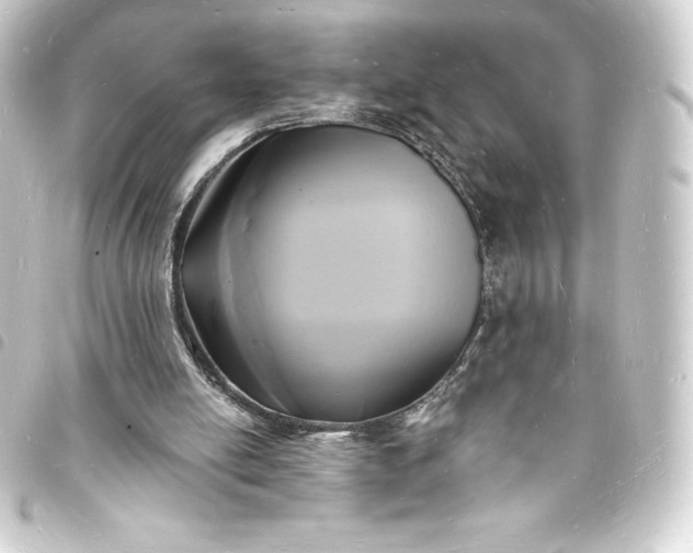 X0000093720054200710301033