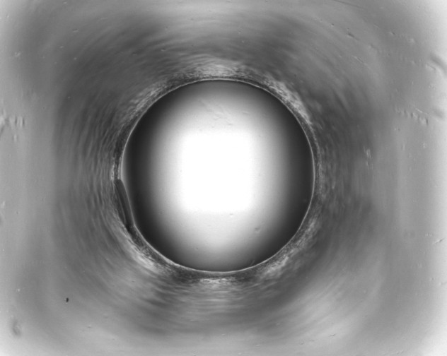 X0000093720057200710301033