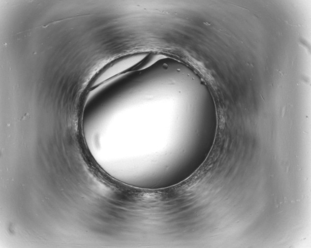 X0000093720060200710301033
