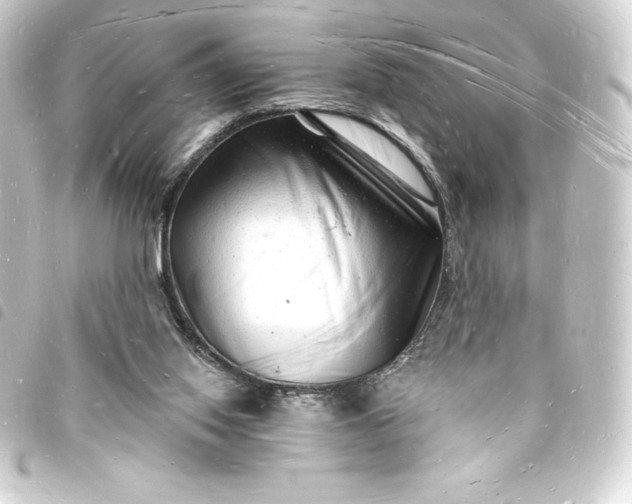 X0000093720062200710301033