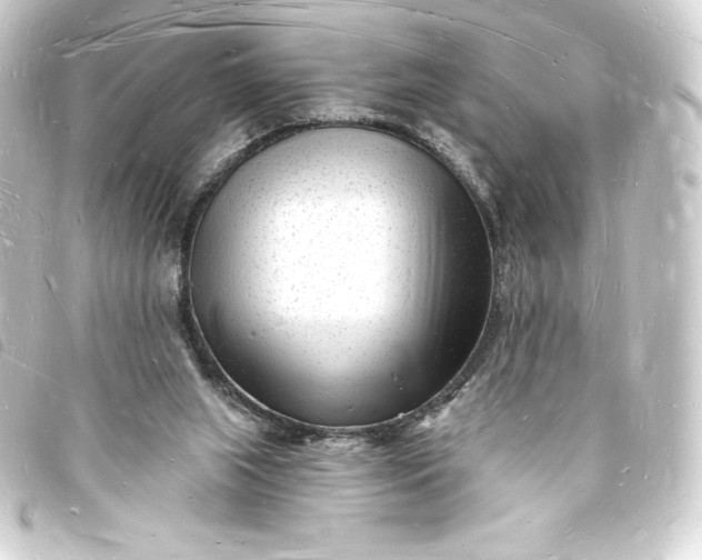 X0000093720063200710301033