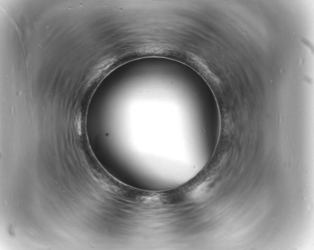 X0000093720068200710301033
