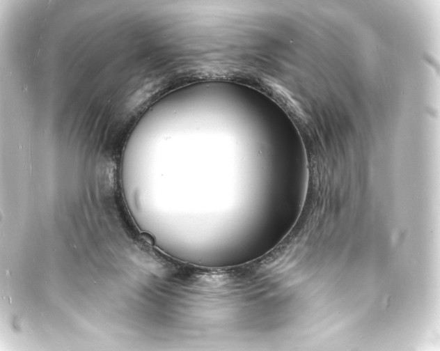 X0000093720071200710301033