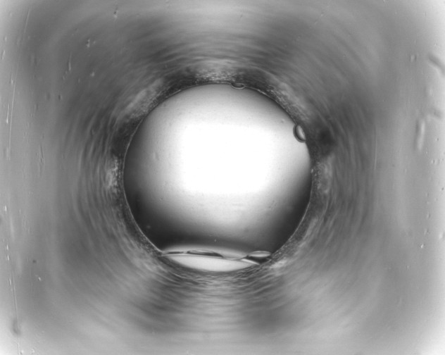 X0000093720073200710301033