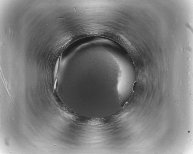 X0000093720076200710301033