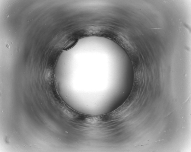 X0000093720079200710301033