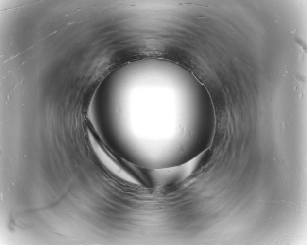X0000093720084200710301033