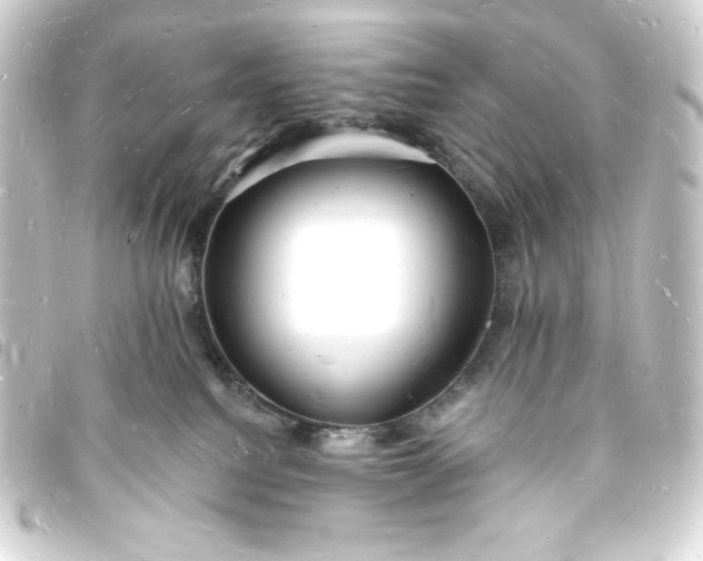 X0000093720088200710301033
