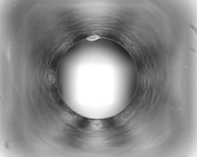 X0000093720091200710301033