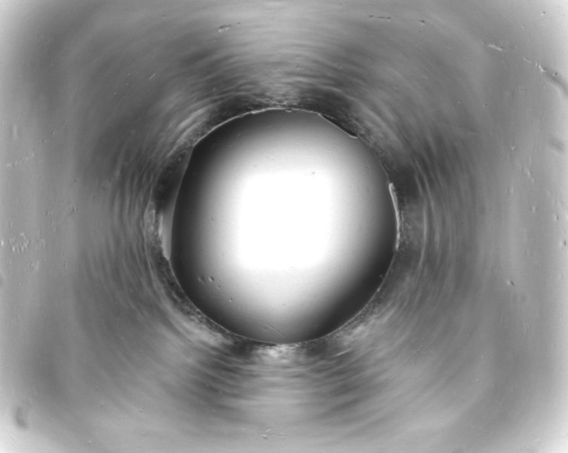 X0000093720092200710301033