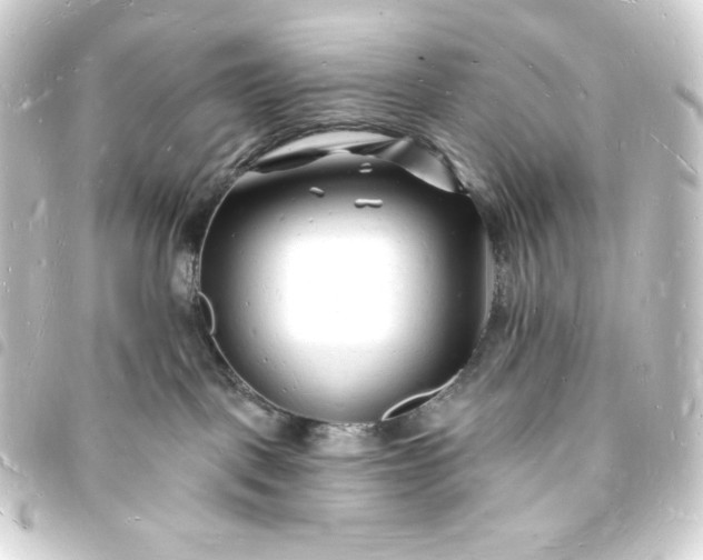X0000093720093200710301033