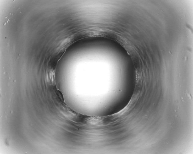 X0000093720094200710301033