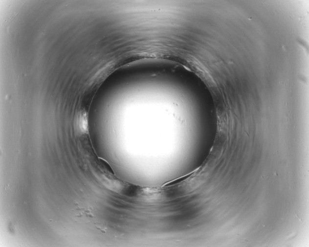 X0000093720095200710301033