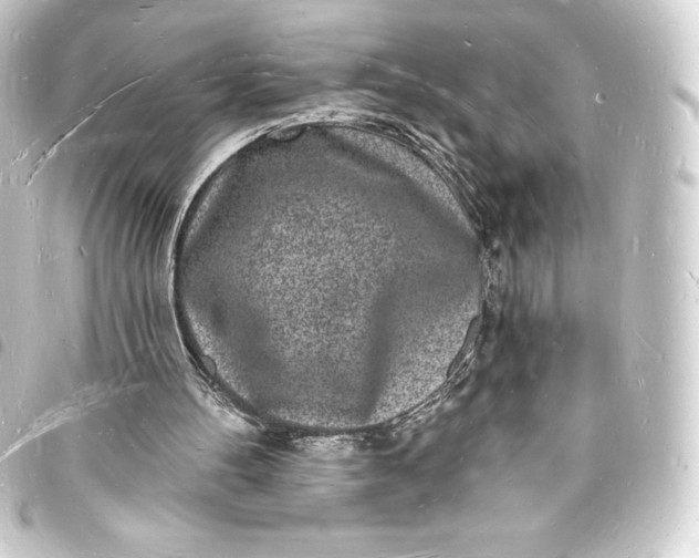 X0000093720100200710301032