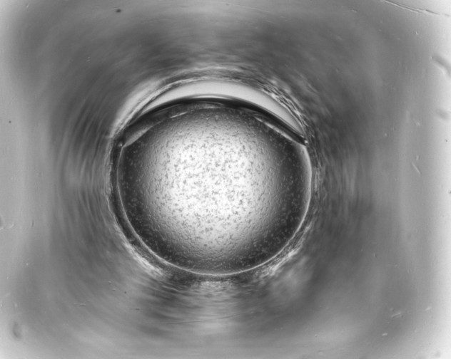 X0000093720101200710301032