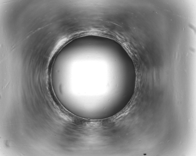 X0000093720102200710301032