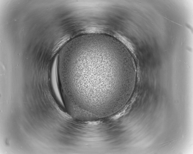 X0000093720105200710301032