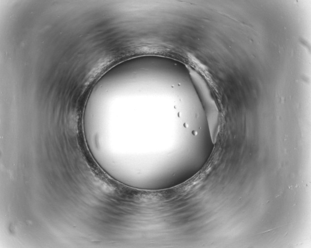 X0000093720106200710301032