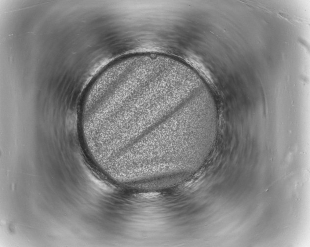 X0000093720108200710301032