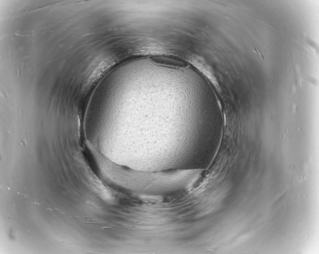 X0000093720109200710301032
