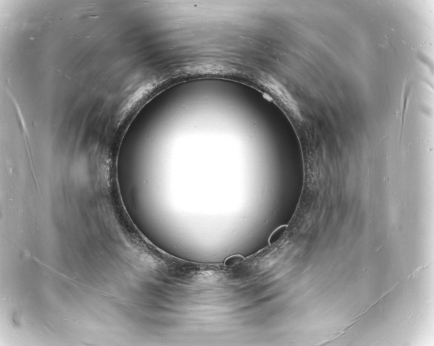 X0000093720111200710301032