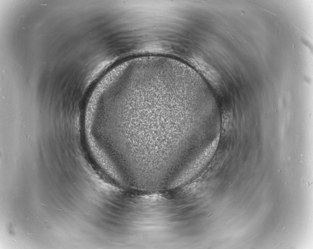 X0000093720112200710301032