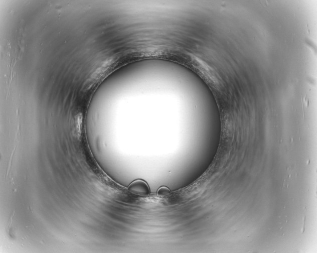 X0000093720118200710301032