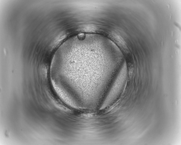X0000093720120200710301032