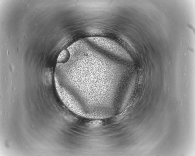 X0000093720124200710301032