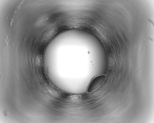 X0000093720126200710301032