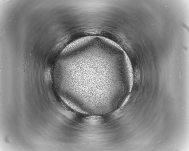 X0000093720128200710301032