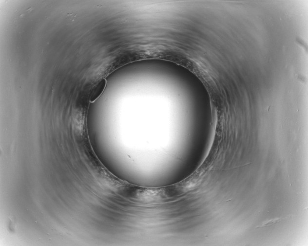 X0000093720129200710301032