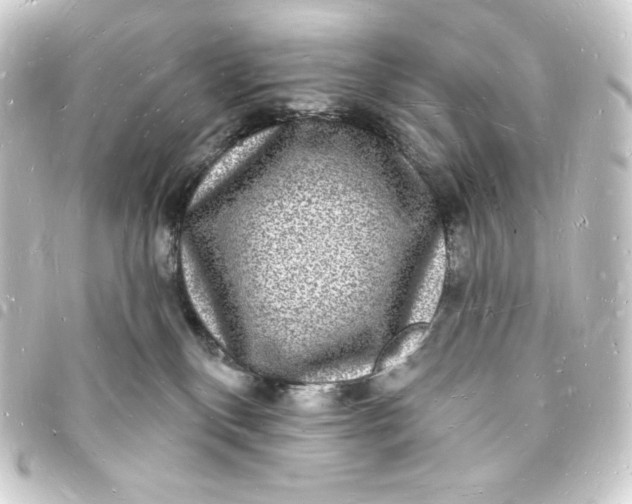 X0000093720136200710301032