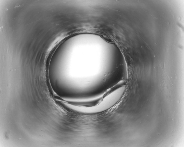 X0000093720150200710301031