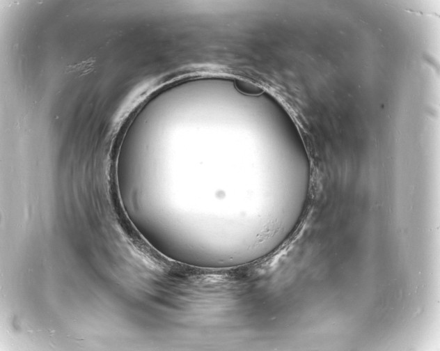 X0000093720151200710301031