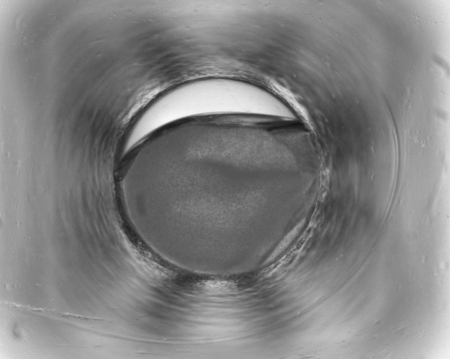 X0000093720154200710301031